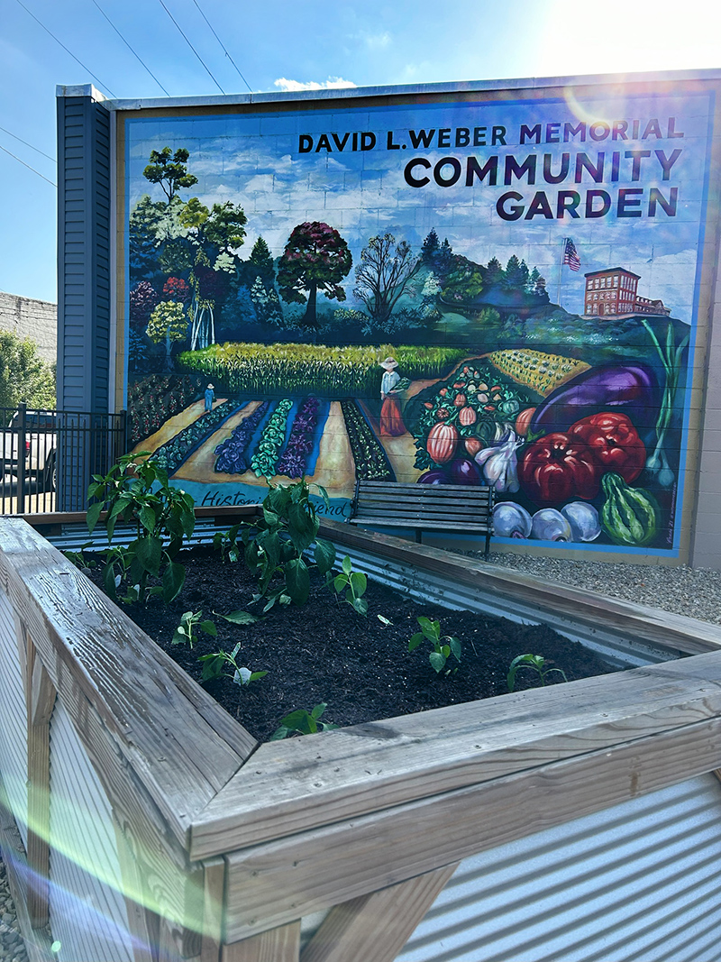 Community Garden Plants