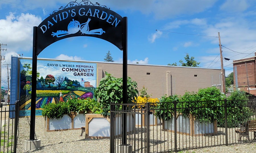 David's Community Garden